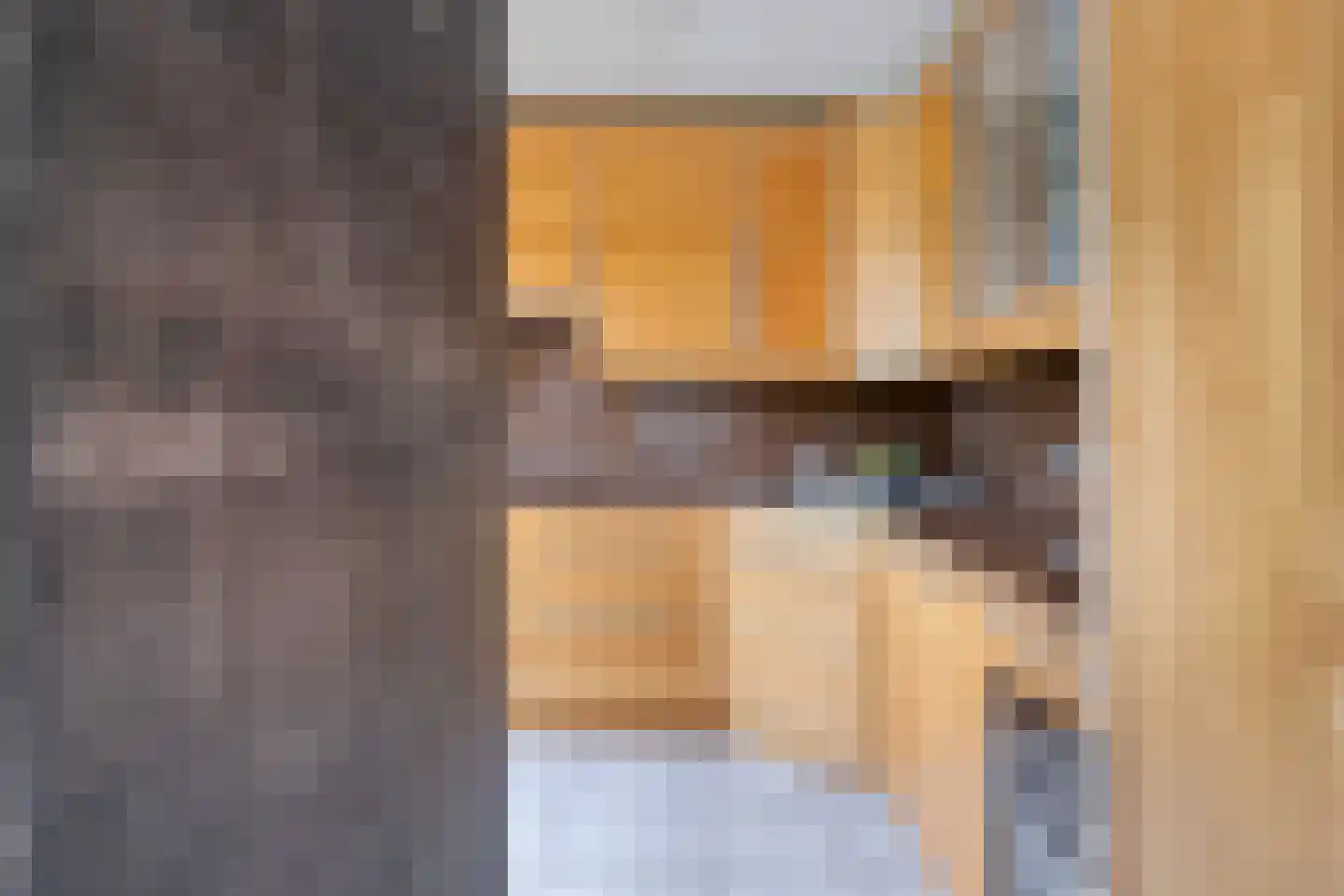 Vogelwikke 37 Barneveld thumbnail 13