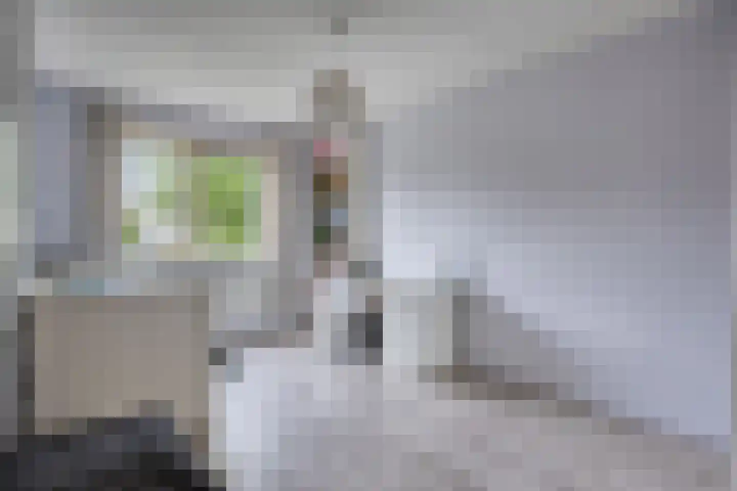 Vogelwikke 37 Barneveld thumbnail 19