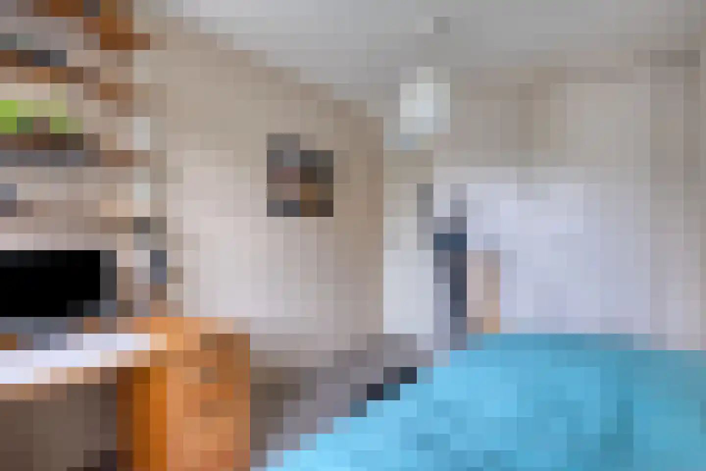 Vogelwikke 37 Barneveld thumbnail 22
