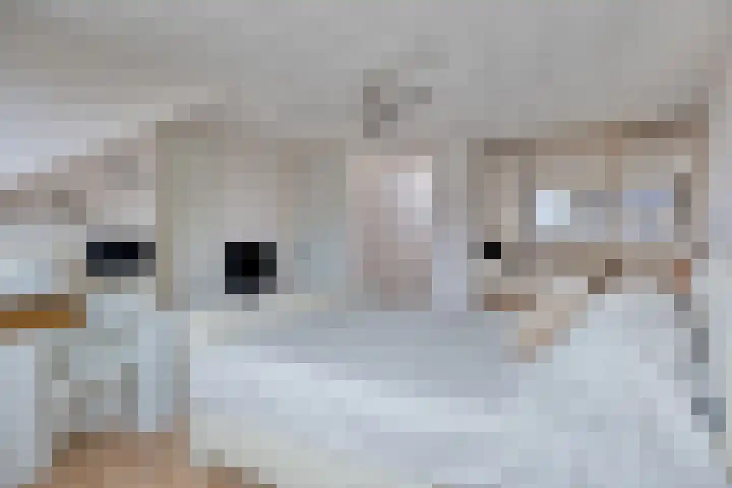 Vogelwikke 37 Barneveld thumbnail 28