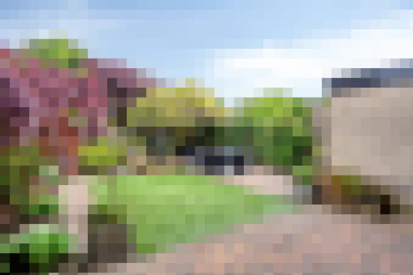Vogelwikke 37 Barneveld thumbnail 31