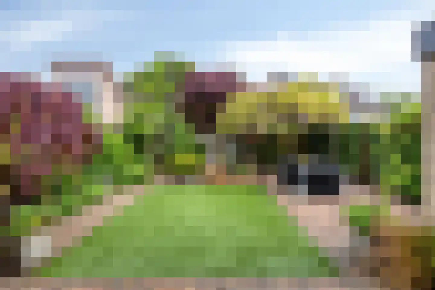 Vogelwikke 37 Barneveld thumbnail 32