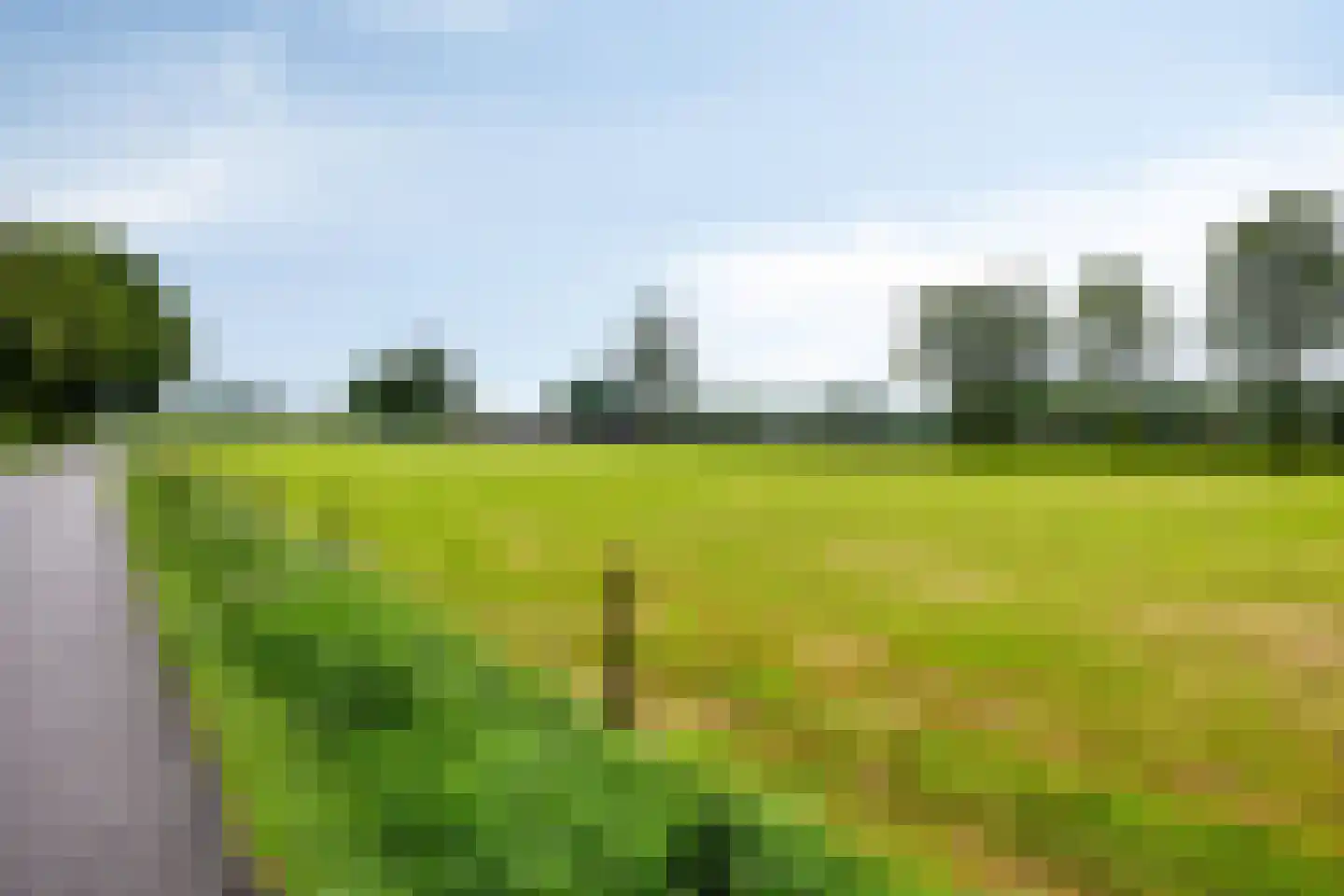 Vogelwikke 37 Barneveld thumbnail 36