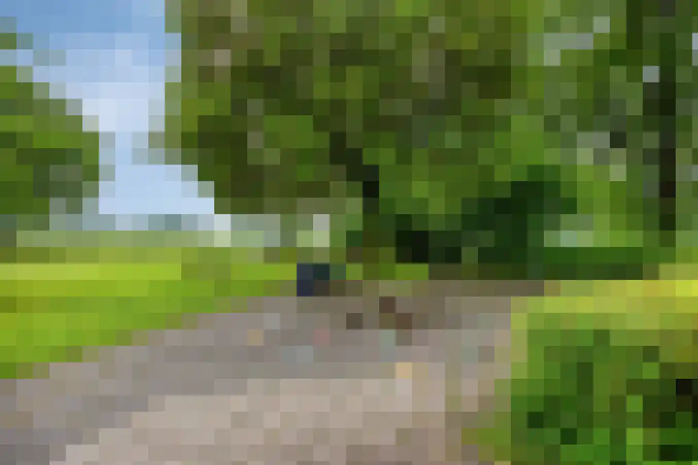 Vogelwikke 37 Barneveld thumbnail 37