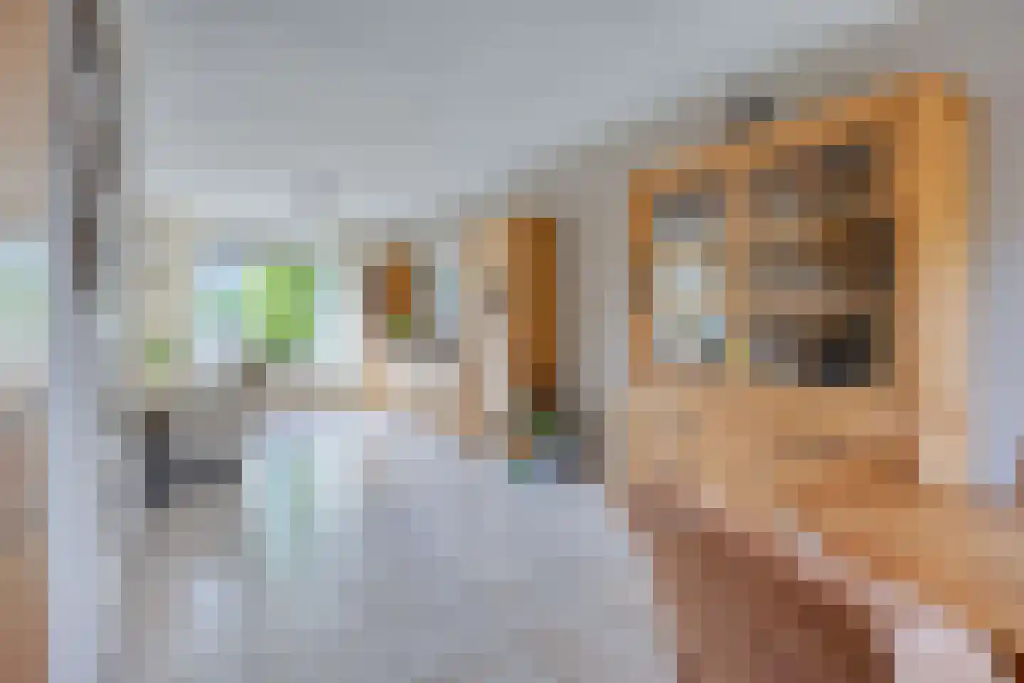 Vogelwikke 37 Barneveld thumbnail 5
