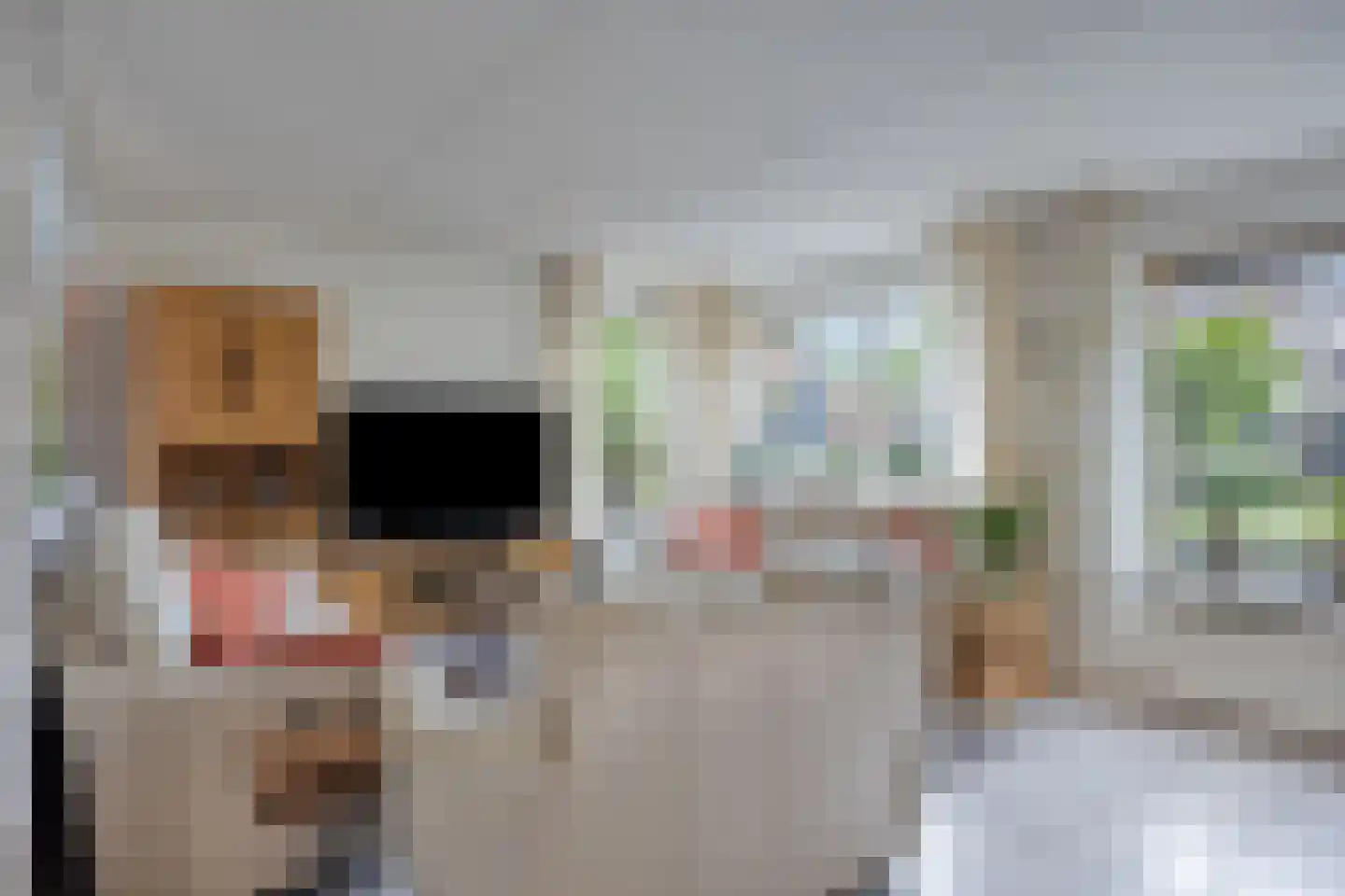 Vogelwikke 37 Barneveld thumbnail 7