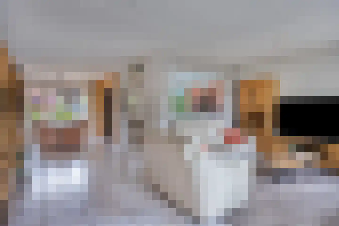 Vogelwikke 37 Barneveld thumbnail 9