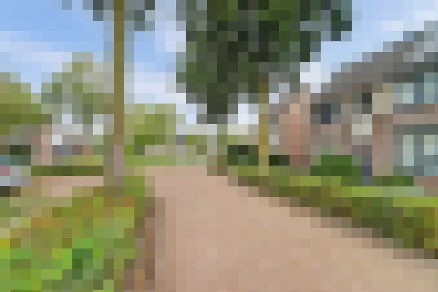Vogelwikke 38 Bladel thumbnail 10