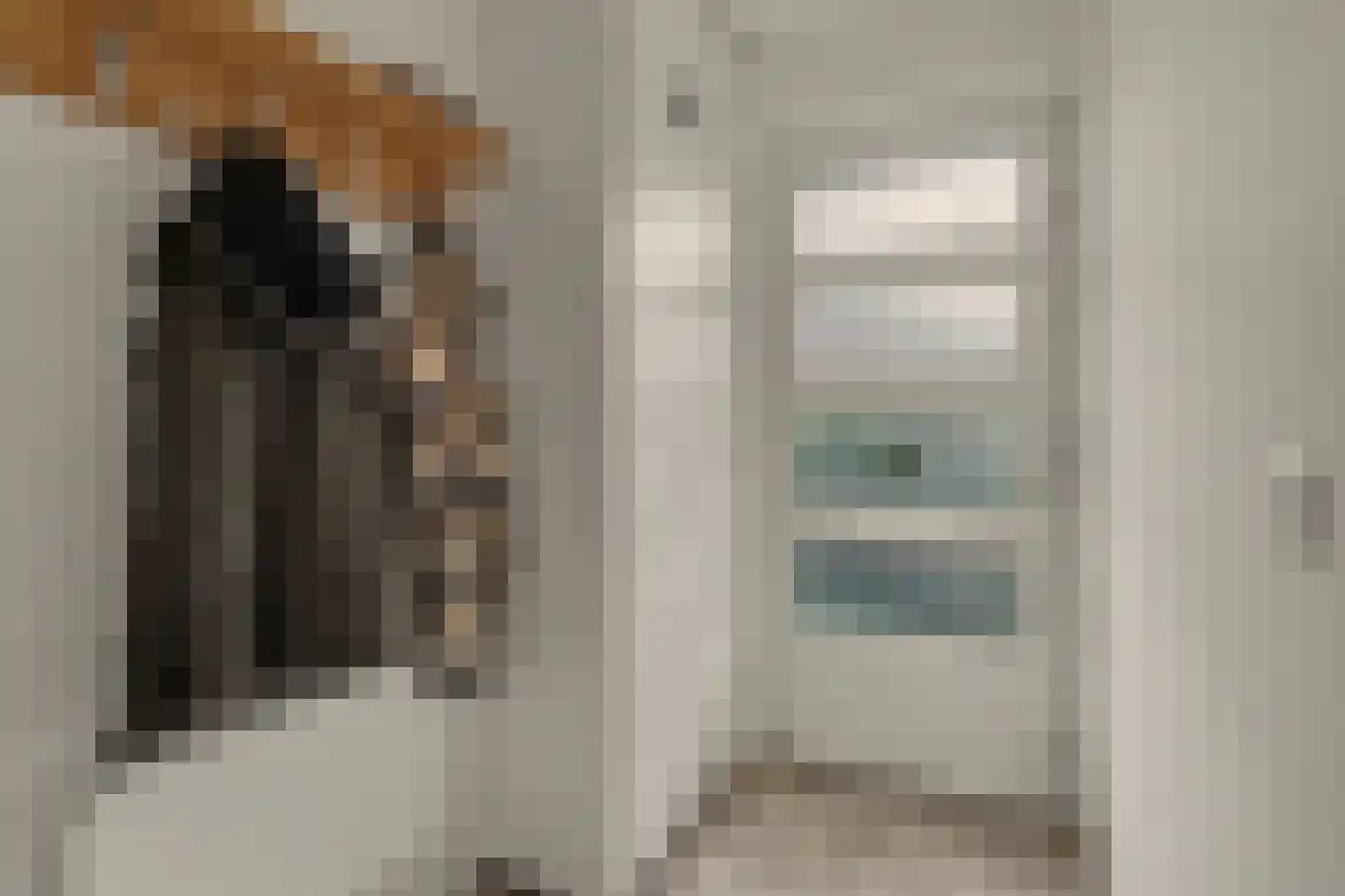 Vogelwikke 38 Bladel thumbnail 13
