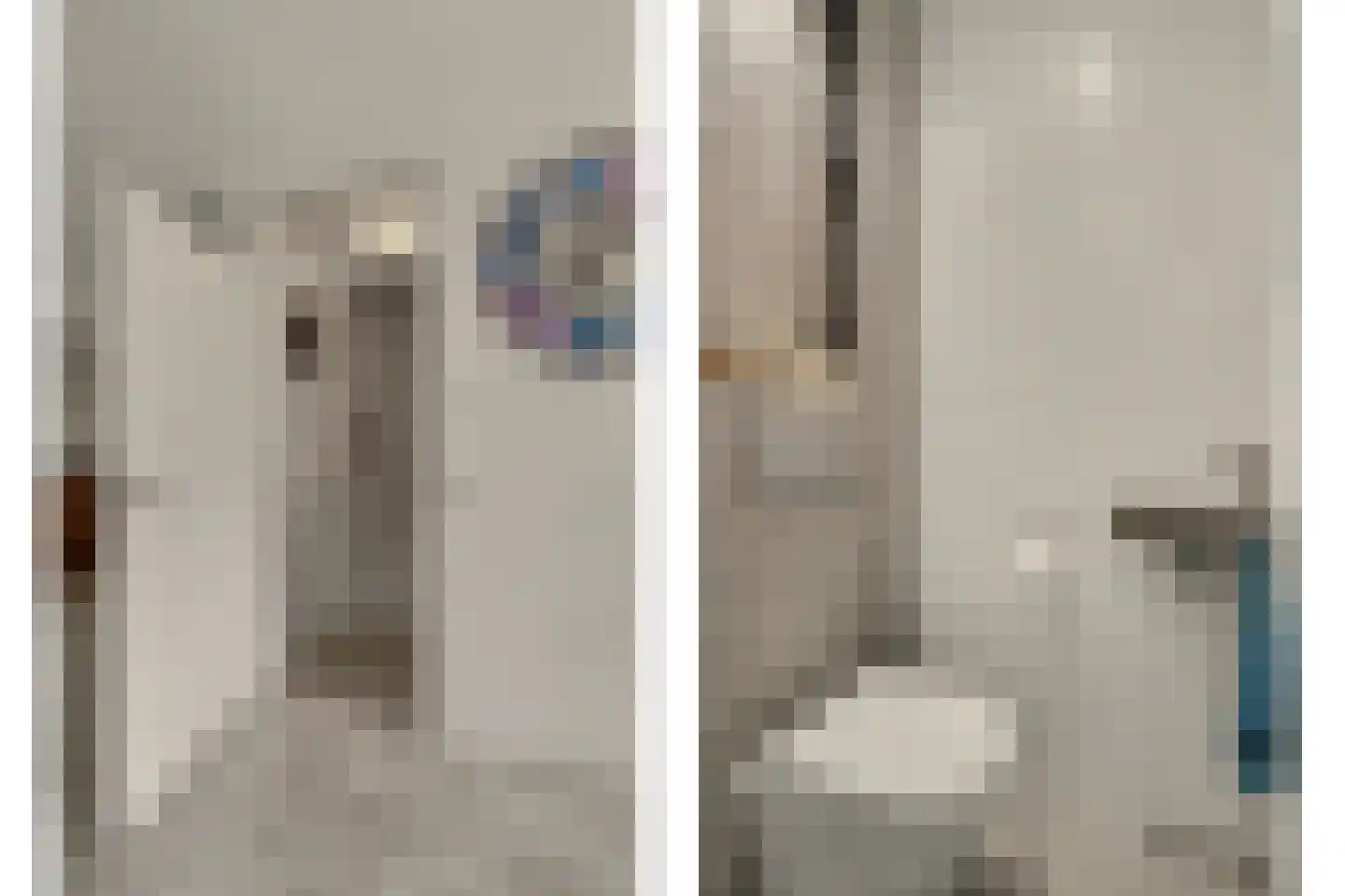 Vogelwikke 38 Bladel thumbnail 14