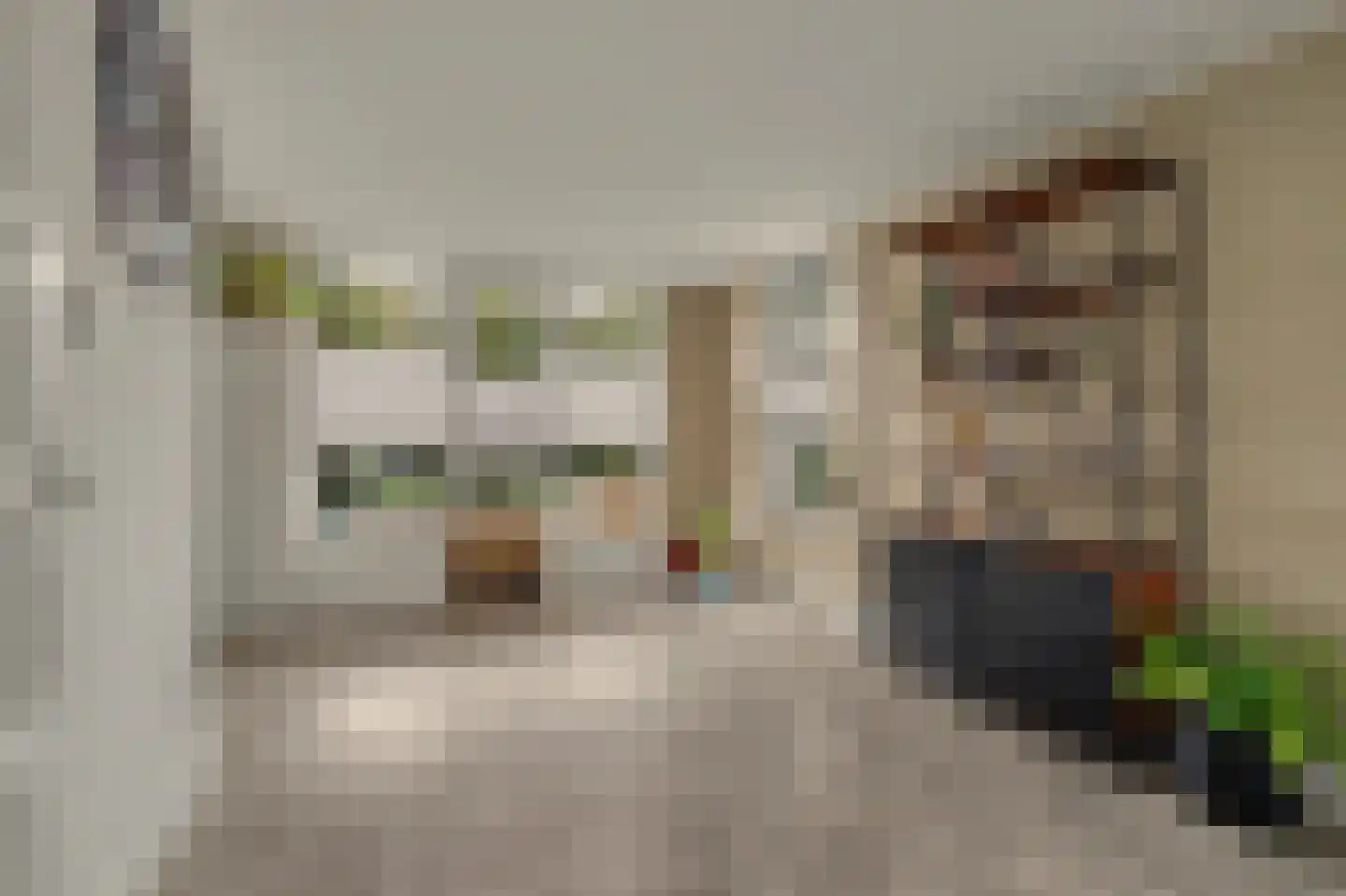 Vogelwikke 38 Bladel thumbnail 15