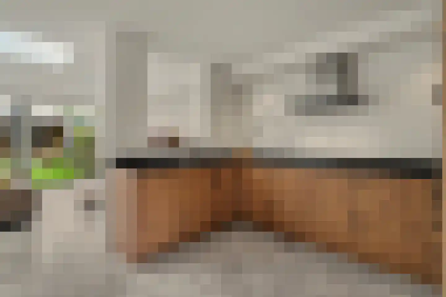 Vogelwikke 38 Bladel thumbnail 20