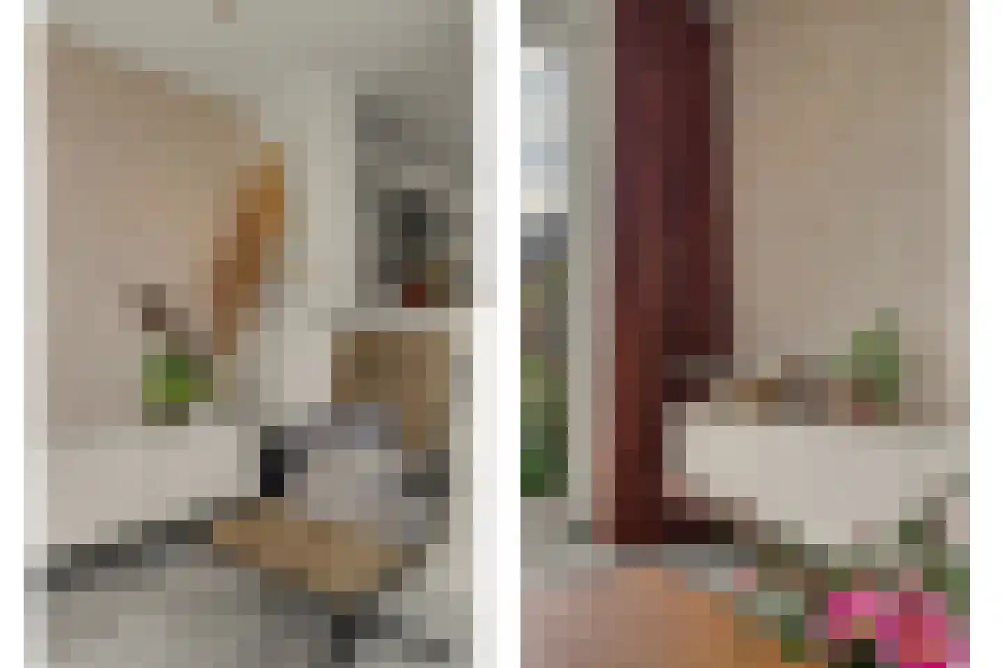 Vogelwikke 38 Bladel thumbnail 24