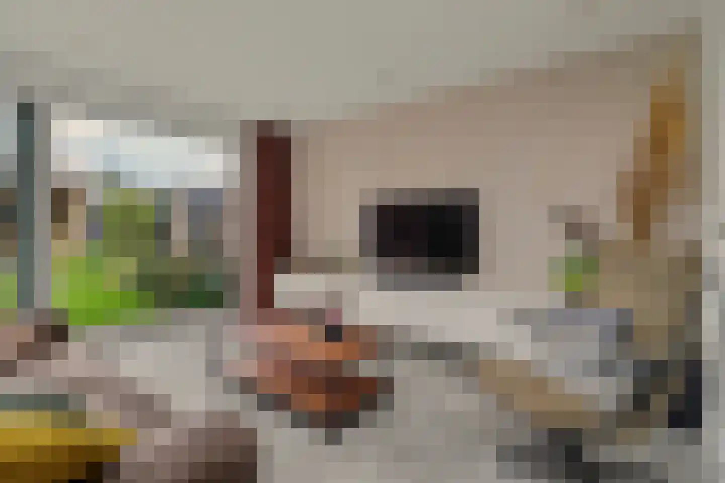 Vogelwikke 38 Bladel thumbnail 25