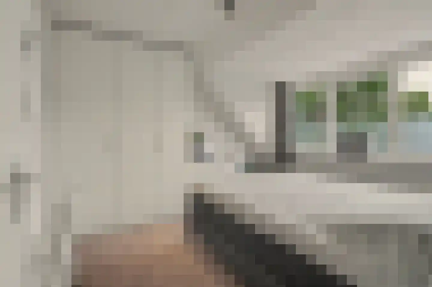 Vogelwikke 38 Bladel thumbnail 32