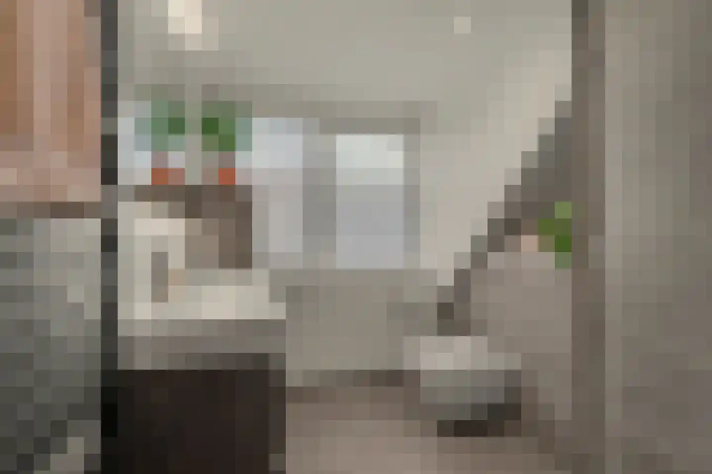 Vogelwikke 38 Bladel thumbnail 38