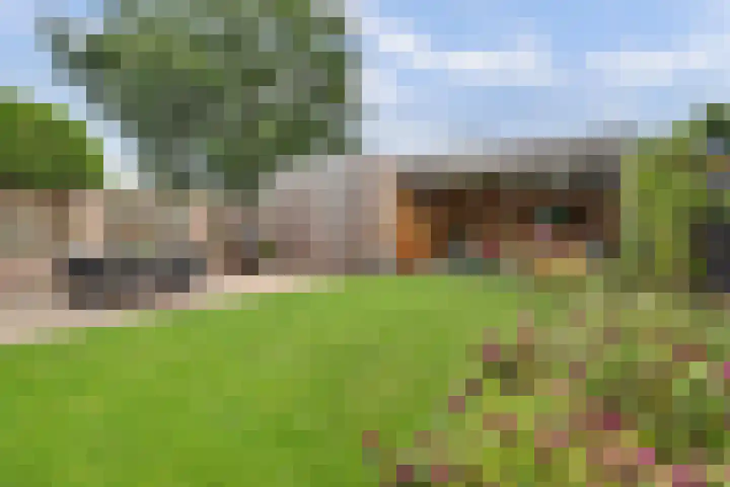 Vogelwikke 38 Bladel thumbnail 4