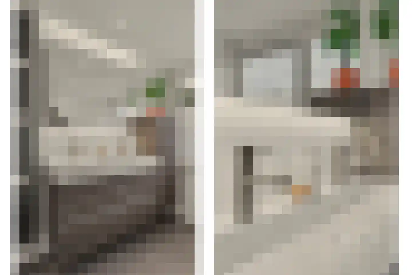 Vogelwikke 38 Bladel thumbnail 40