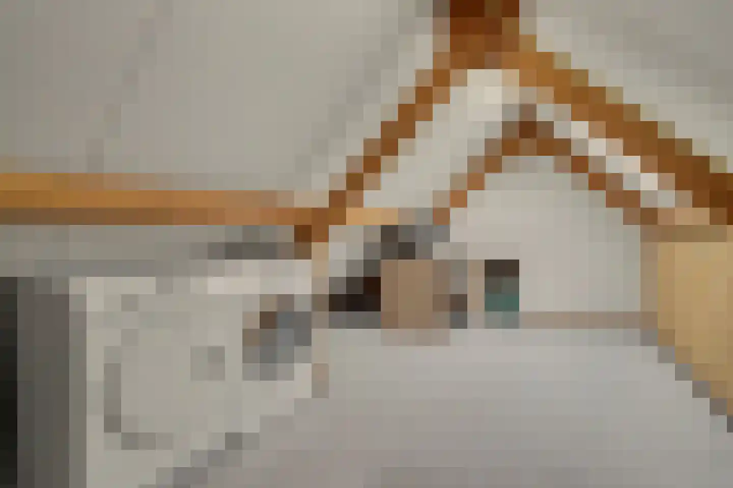 Vogelwikke 38 Bladel thumbnail 42