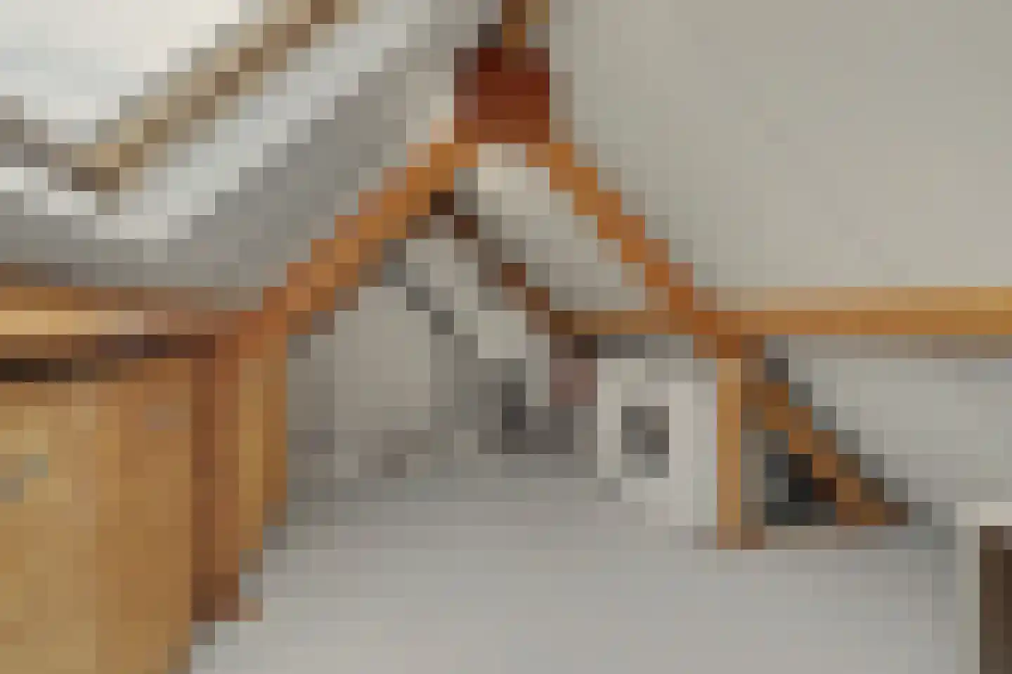 Vogelwikke 38 Bladel thumbnail 43