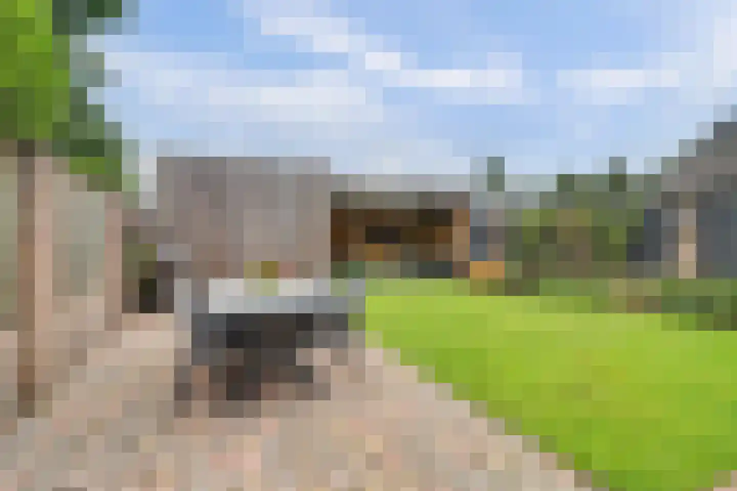 Vogelwikke 38 Bladel thumbnail 44