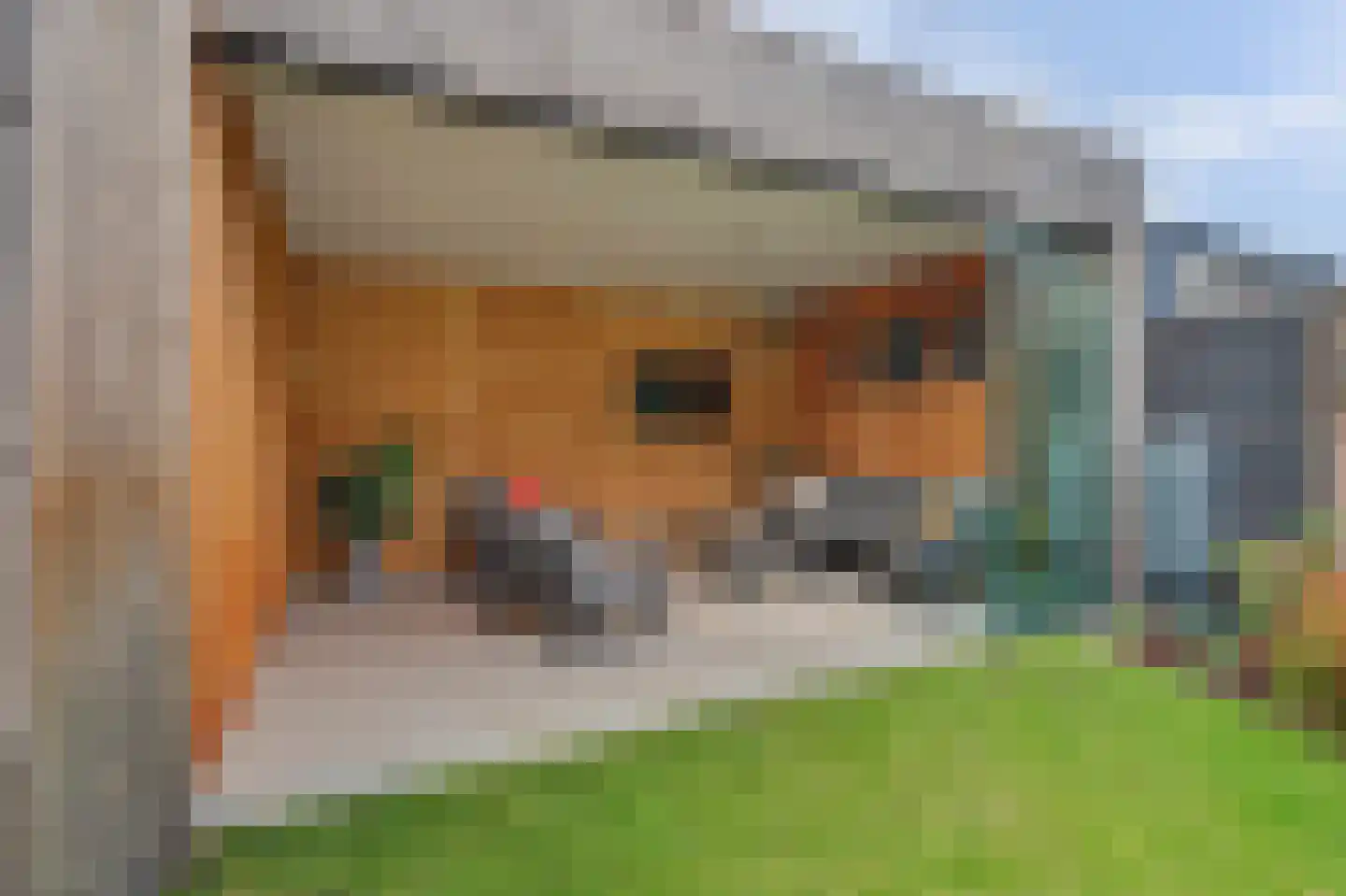 Vogelwikke 38 Bladel thumbnail 47
