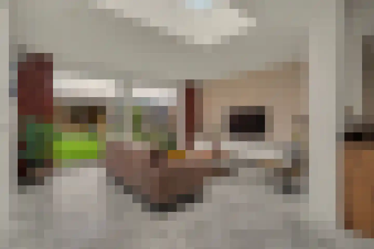 Vogelwikke 38 Bladel thumbnail 5