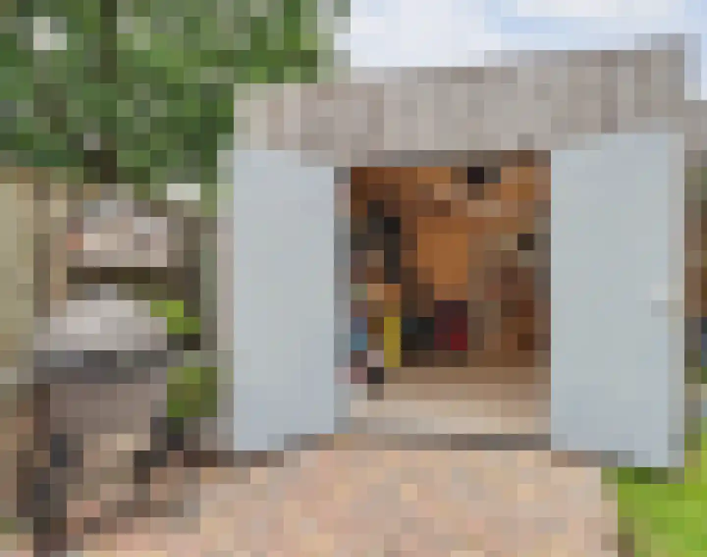 Vogelwikke 38 Bladel thumbnail 50