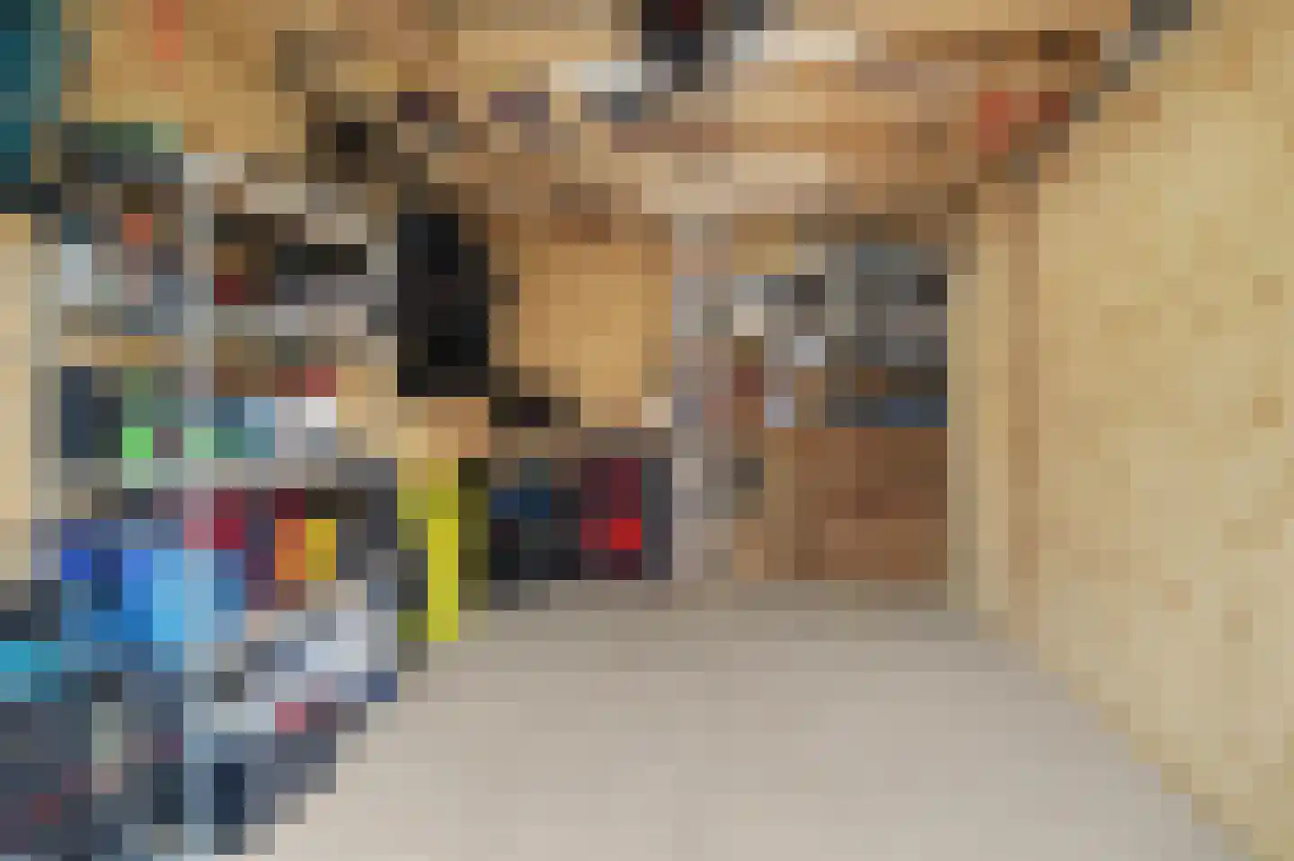 Vogelwikke 38 Bladel thumbnail 51