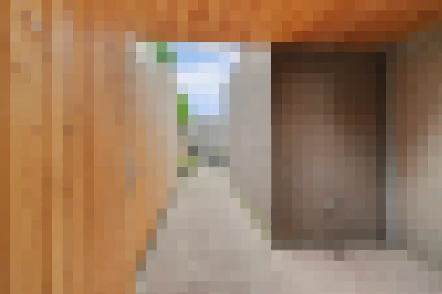 Vogelwikke 38 Bladel thumbnail 52