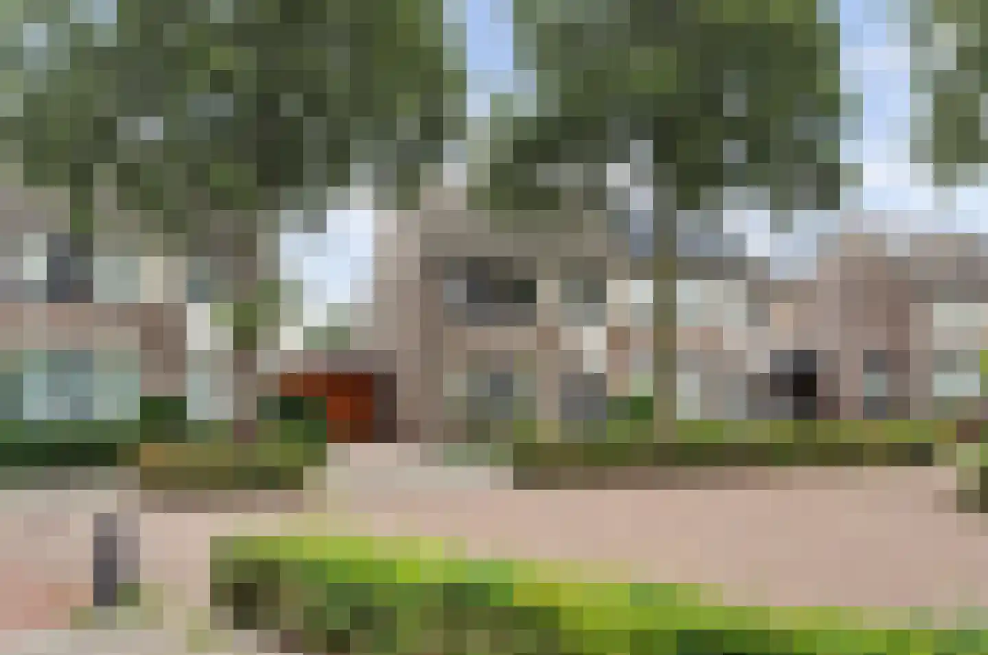 Vogelwikke 38 Bladel thumbnail 53