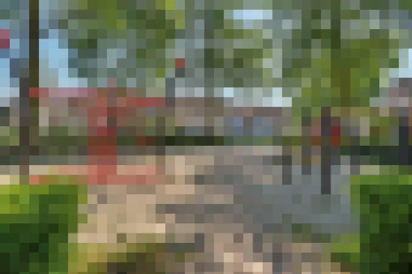 Vogelwikke 38 Bladel thumbnail 54