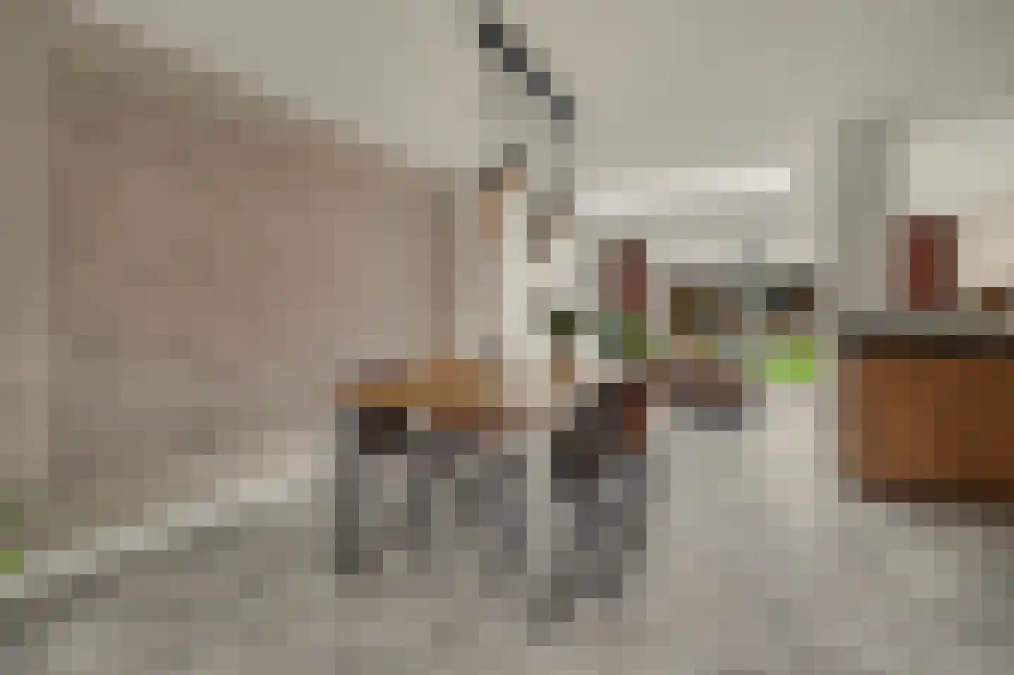 Vogelwikke 38 Bladel thumbnail 6