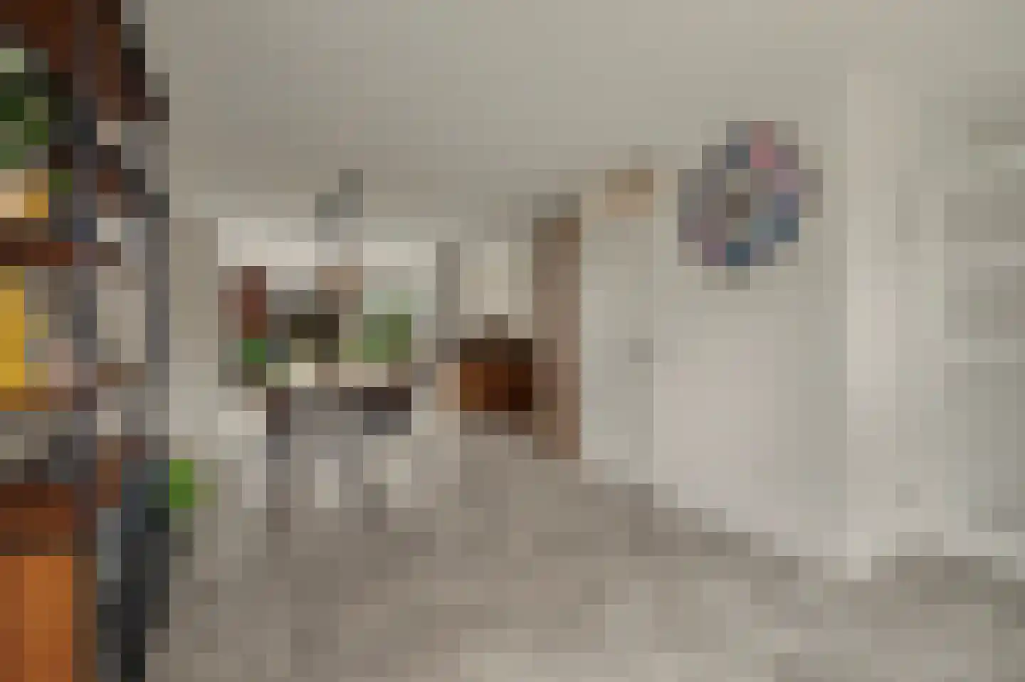 Vogelwikke 38 Bladel thumbnail 7