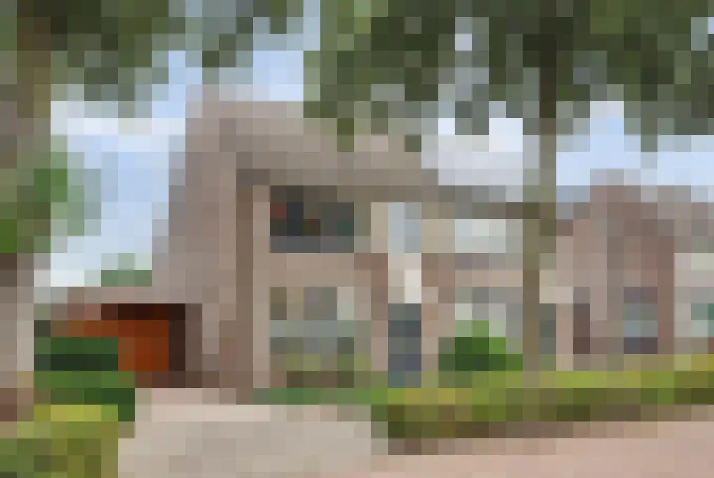 Vogelwikke 38 Bladel thumbnail 9