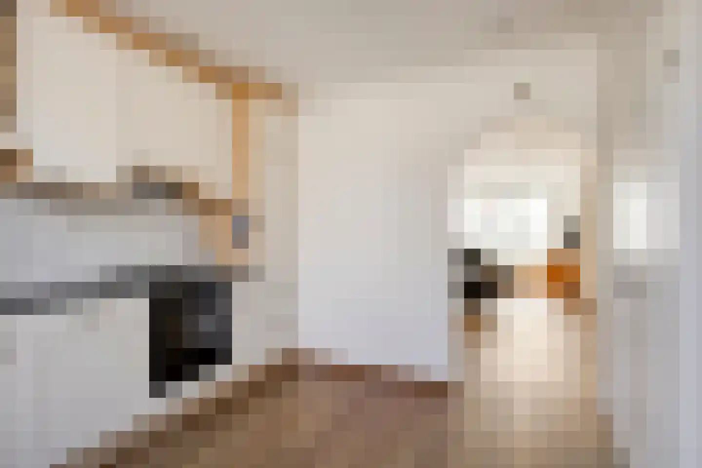 Vogelwikke 4 Udenhout thumbnail 15