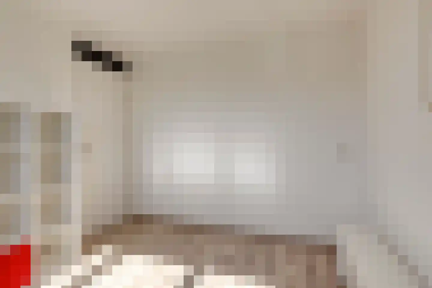 Vogelwikke 4 Udenhout thumbnail 22