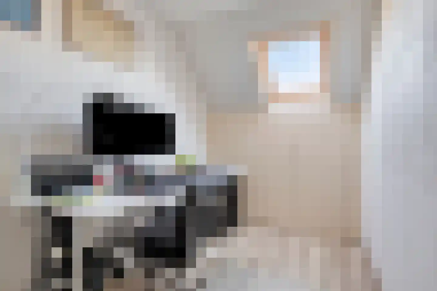 Vogelwikke 4 Udenhout thumbnail 23