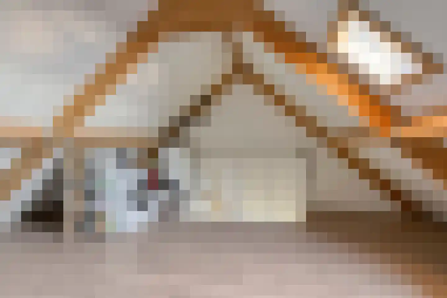 Vogelwikke 4 Udenhout thumbnail 28
