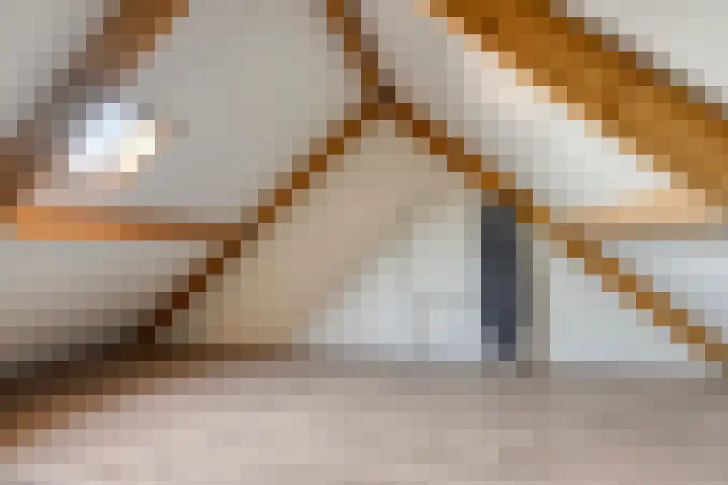 Vogelwikke 4 Udenhout thumbnail 29