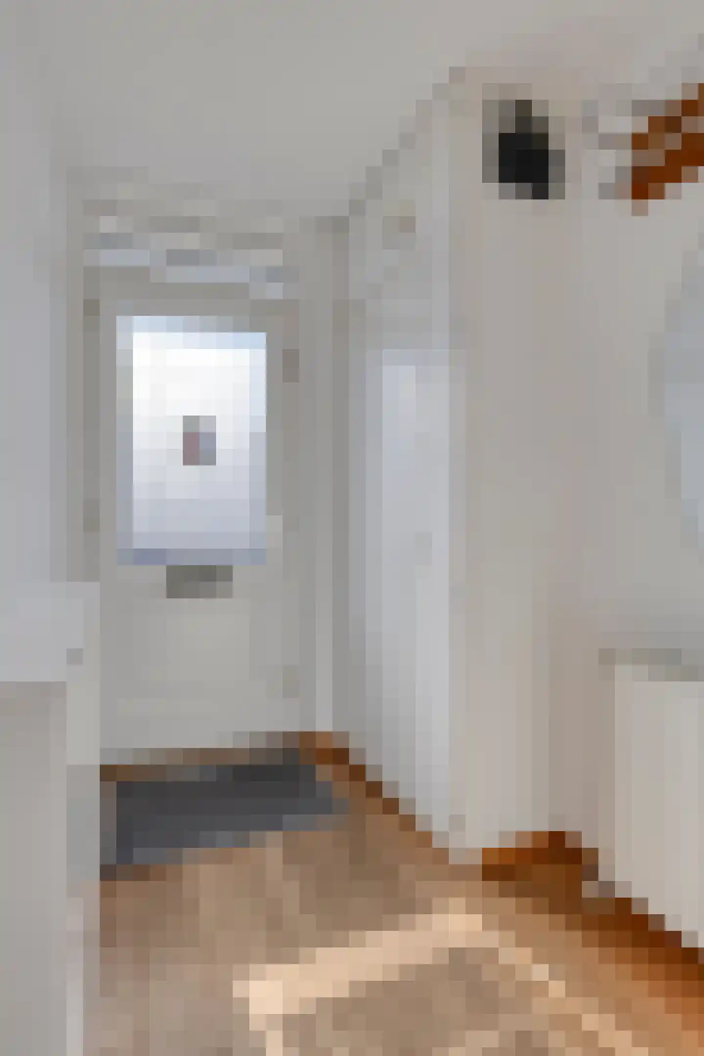 Vogelwikke 4 Udenhout thumbnail 7