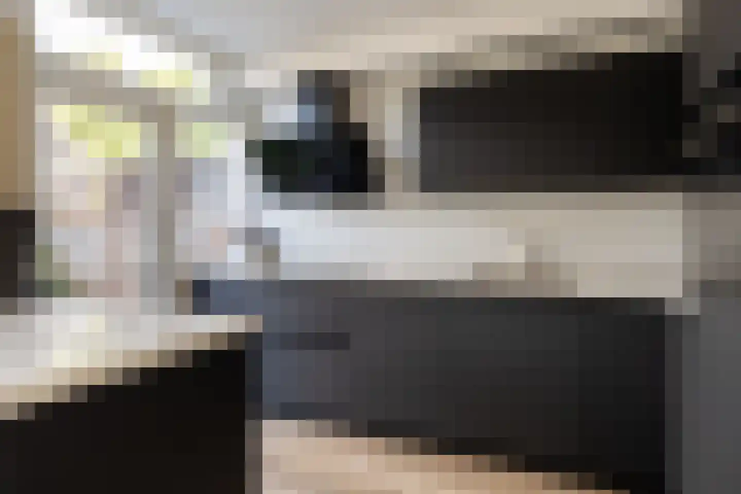 Vogelwikke 6 Bergschenhoek thumbnail 12