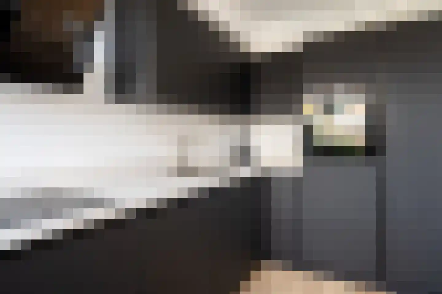 Vogelwikke 6 Bergschenhoek thumbnail 13