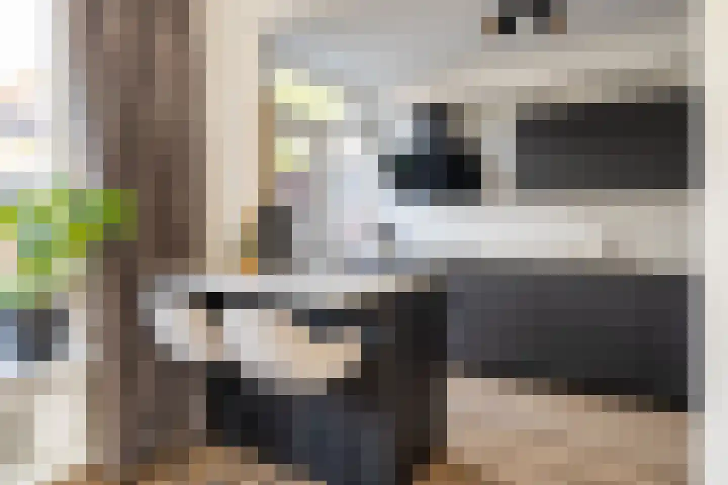 Vogelwikke 6 Bergschenhoek thumbnail 14