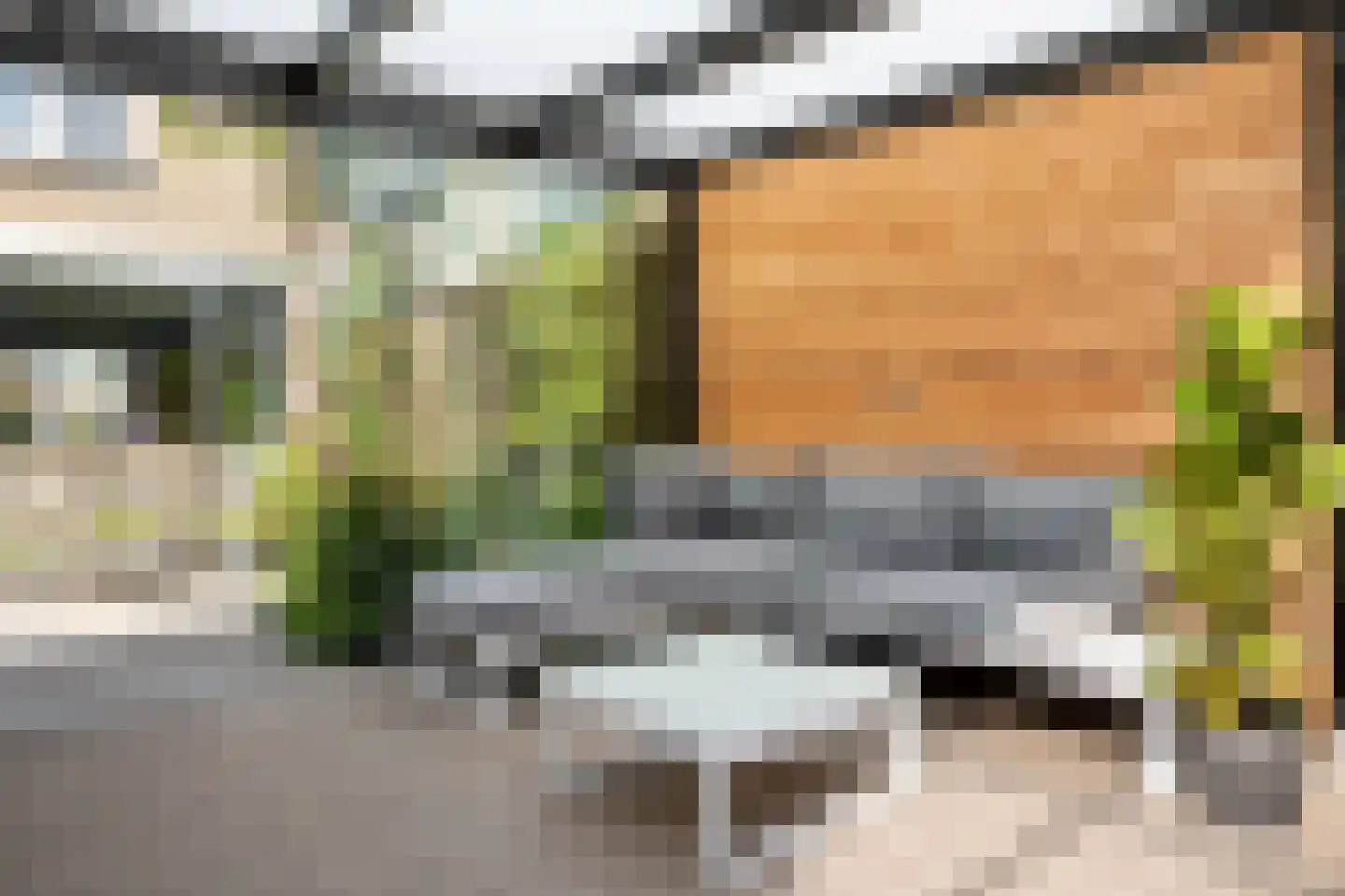 Vogelwikke 6 Bergschenhoek thumbnail 18