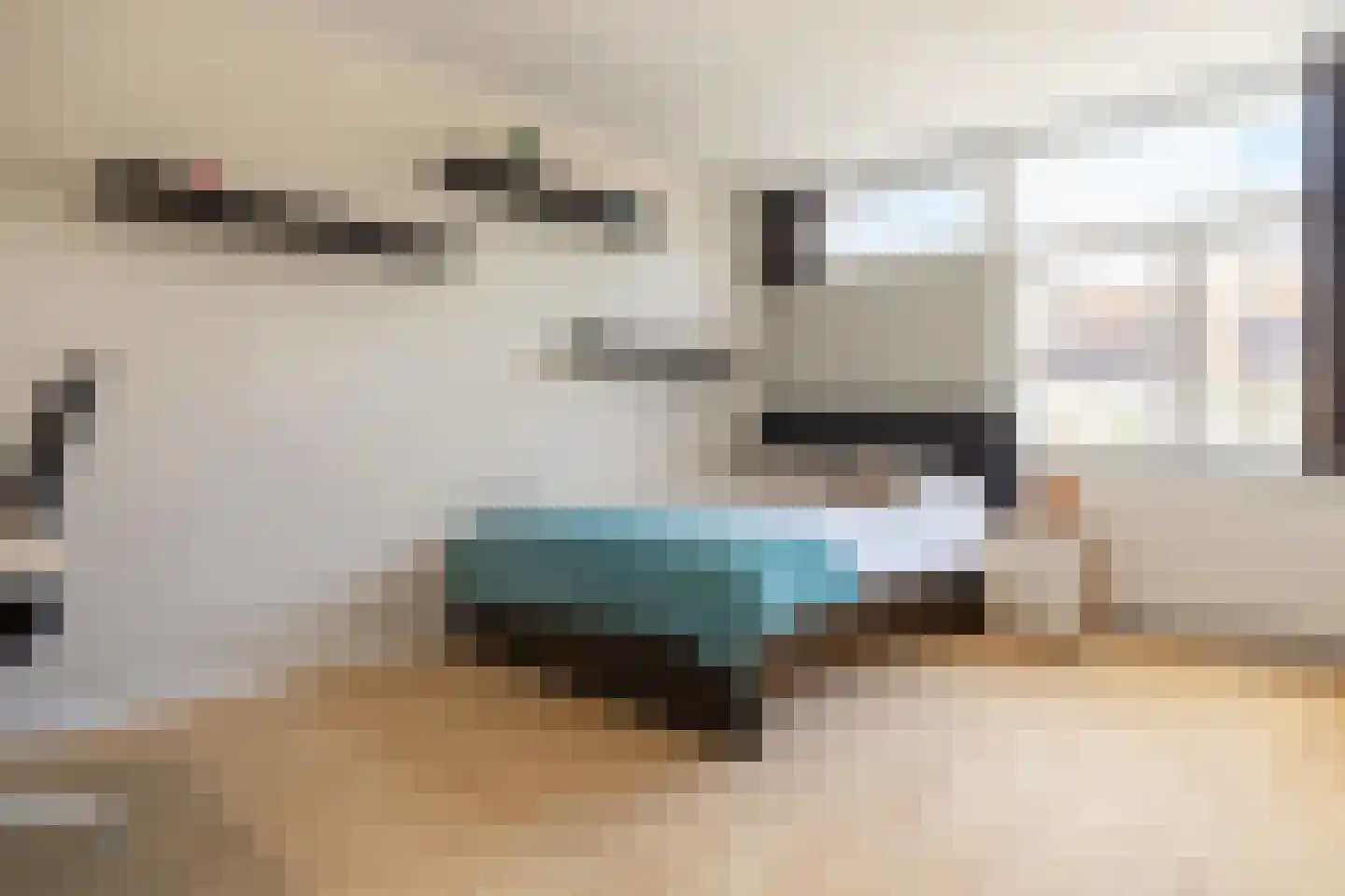 Vogelwikke 6 Bergschenhoek thumbnail 20