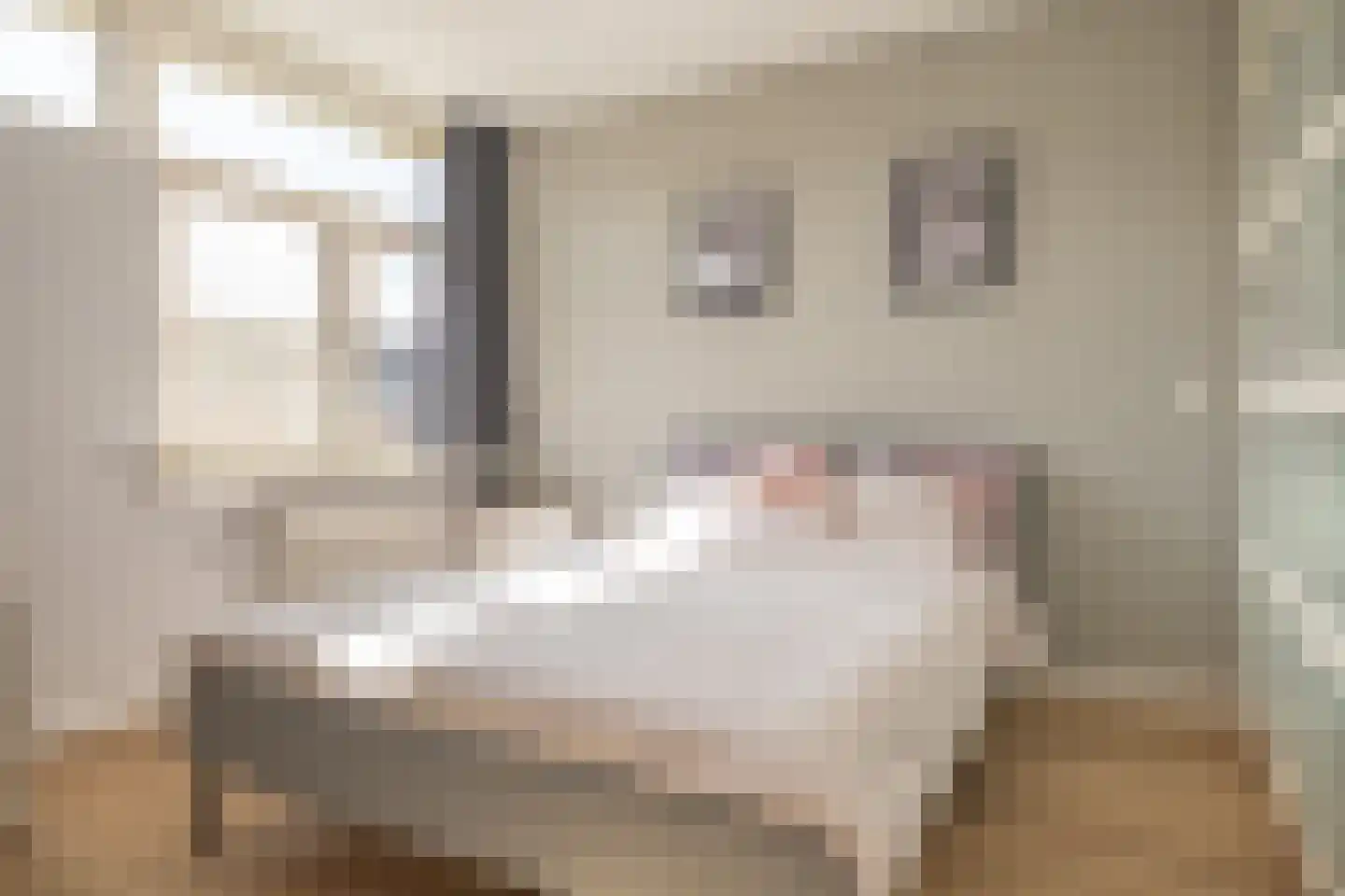Vogelwikke 6 Bergschenhoek thumbnail 22