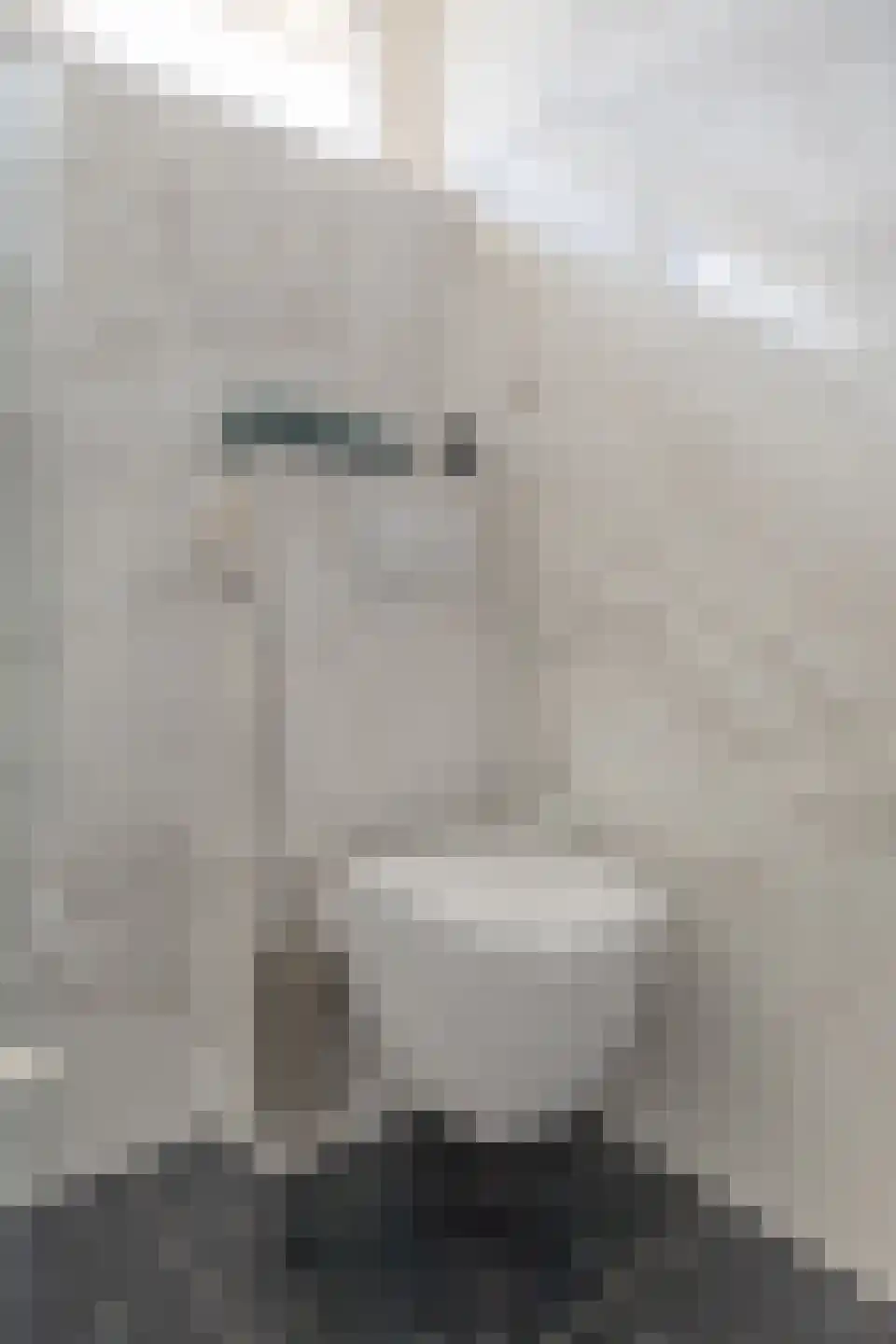 Vogelwikke 6 Bergschenhoek thumbnail 26