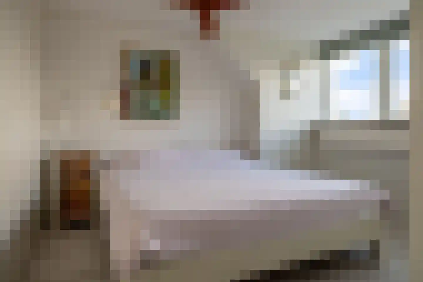 Vogelwikke 6 Bergschenhoek thumbnail 31