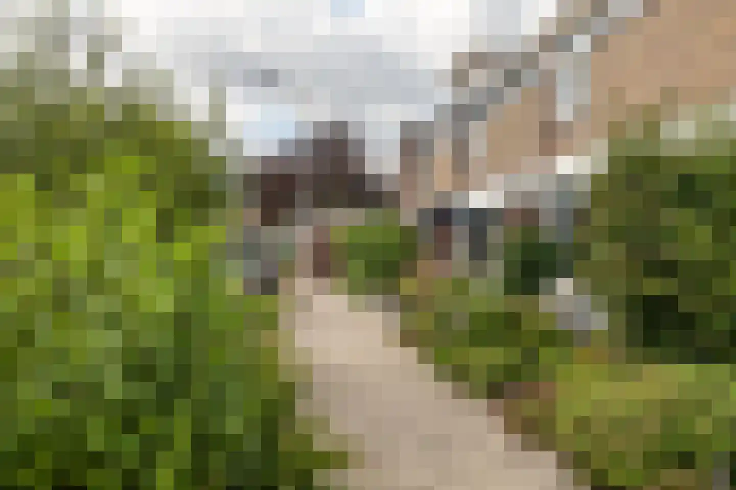 Vogelwikke 6 Bergschenhoek thumbnail 32